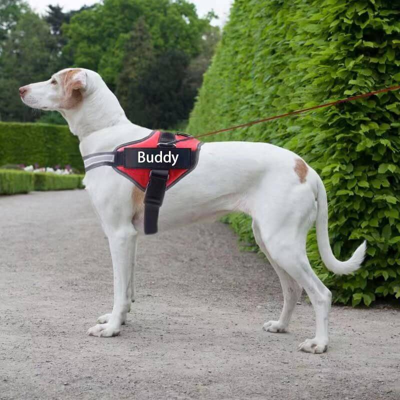 Reflektierendes No-Pull Hundegeschirr mit individuellem ID-Patch