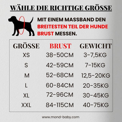 Reflektierendes No-Pull Hundegeschirr mit individuellem ID-Patch