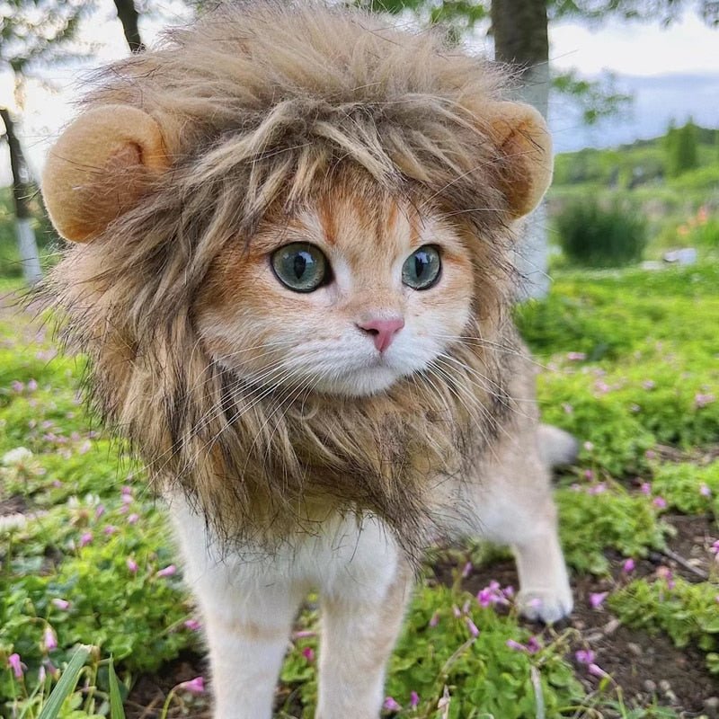 Löwenmütze für Katzen - Mond-Baby